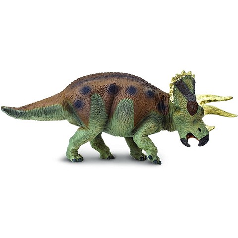 Il Triceratopo era un grande dinosauro erbivoro  che visse durante la fine del periodo Cretaceo (68-66 milioni di anni fa) in quello che ora è l’ovest del Nord America. Questi esemplari possono essere riconosciuti per lapr